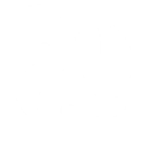 Peter Lynn (PLKB) kiteboarding brand logo